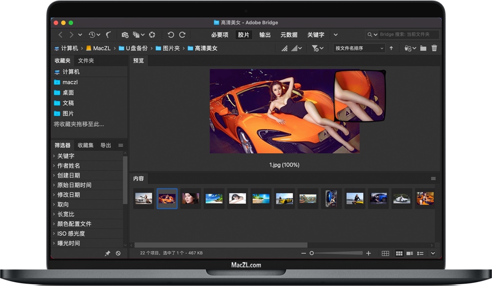 Bridge 2021 for Mac 数字资产管理软件 中文一键安装版下载