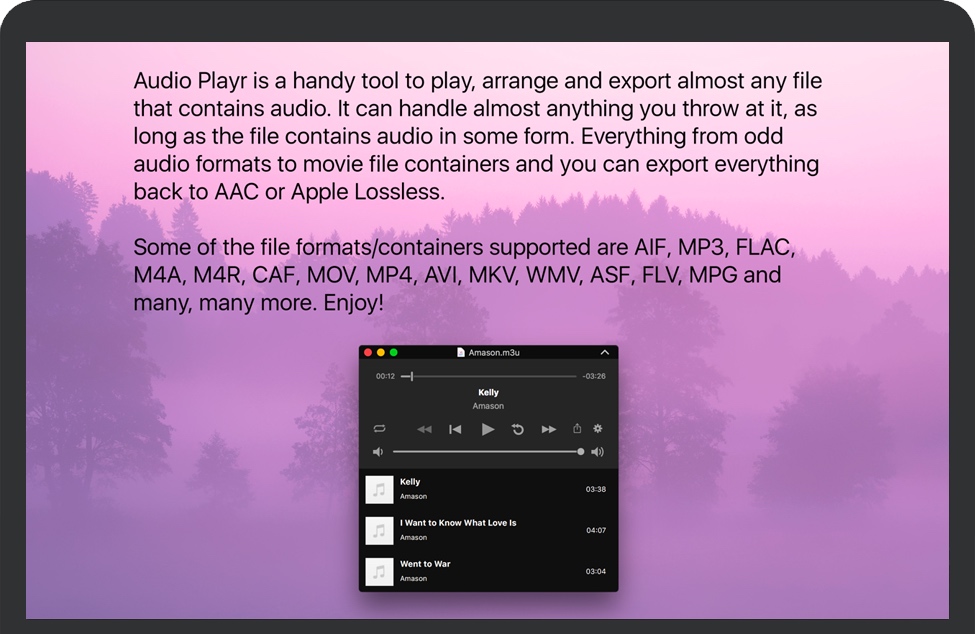 Audio Playr for Mac 苹果电脑音频播放器 破解版下载
