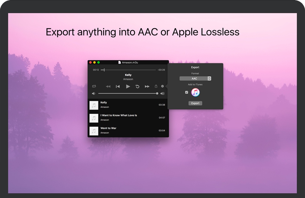 Audio Playr for Mac 苹果电脑音频播放器 破解版下载