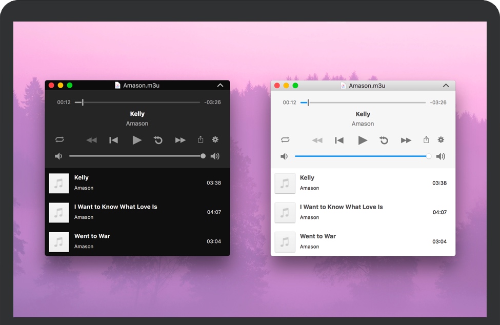 Audio Playr for Mac 苹果电脑音频播放器 破解版下载
