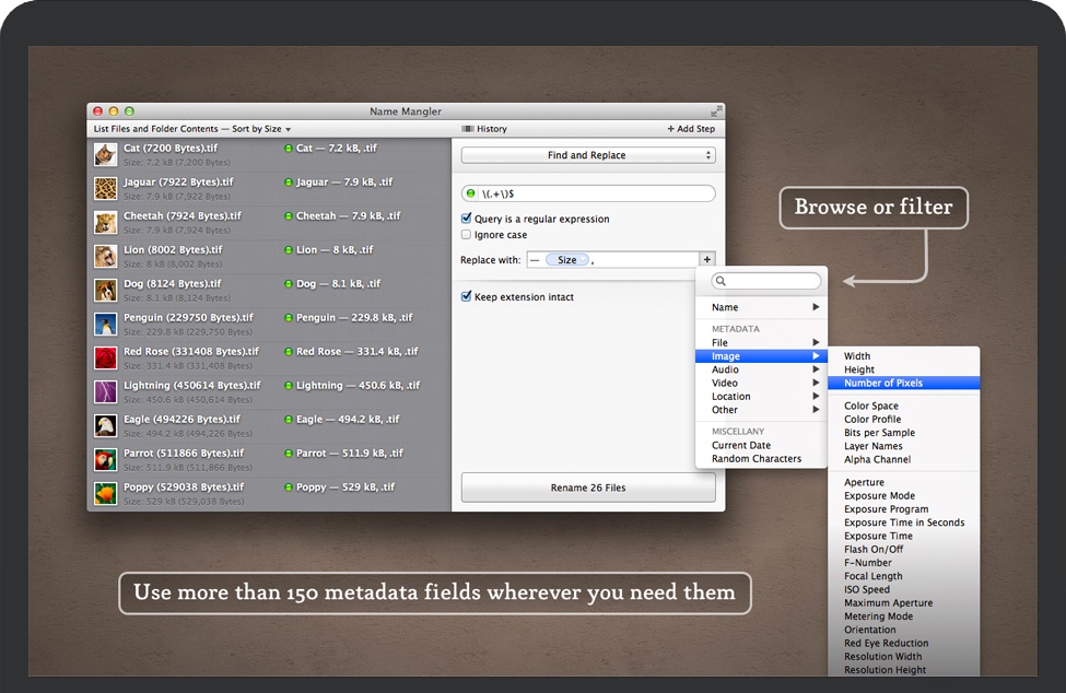 Name Mangler for Mac 苹果批量文件重命名程序 破解版下载