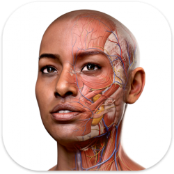 Complete Anatomy for Mac 苹果3D人体解剖图谱 中文激活版下载